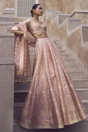 Aniq Lehenga Set - Blush