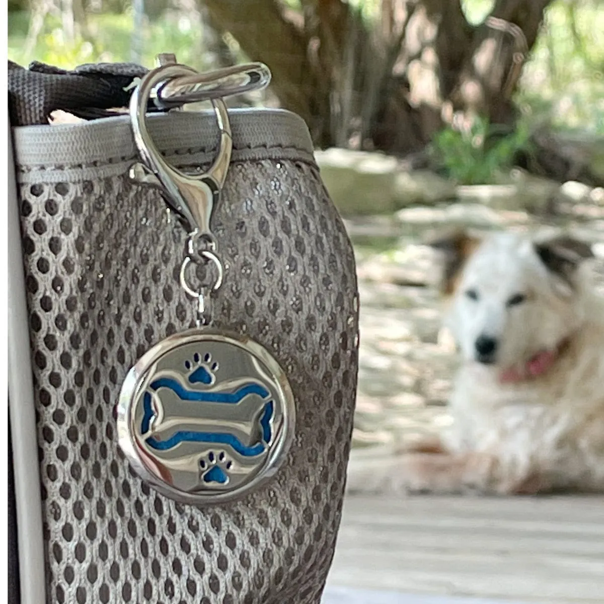 Dog Bone Cutout Aromatherapy Purse Locket or Key Ring